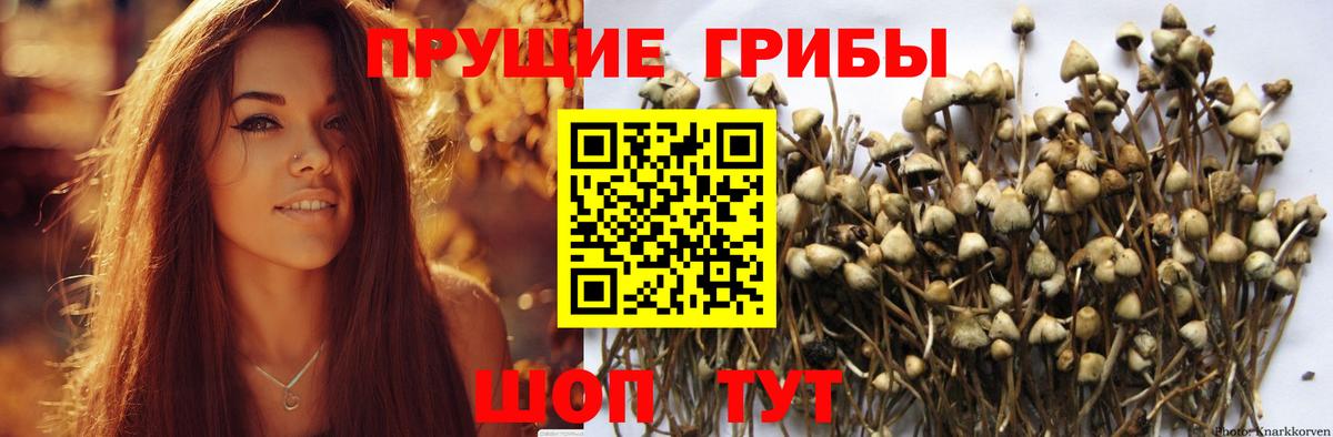 Галлюциногенные грибы мухоморы Белорецк